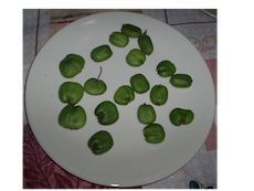 Kiwi Fruit on plate.png